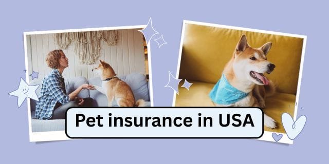 pet insurance in USA